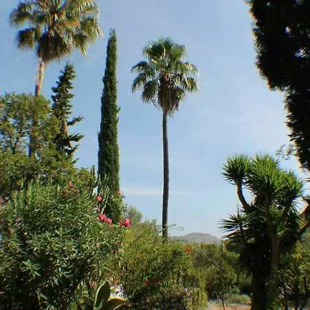 Casa Ibicenca - Canyamel Villa *